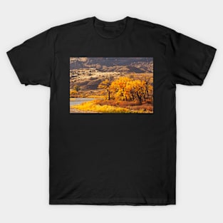 Golden Trees T-Shirt